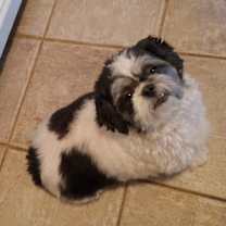 Thumbnail photo of Kaylee #1