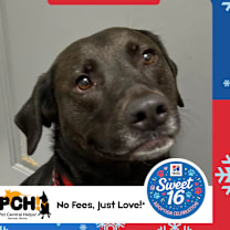 Thumbnail photo of Fiona #1