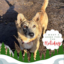 Thumbnail photo of Nessie #1