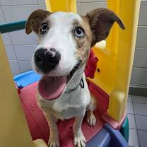 Thumbnail photo of Melissa #1