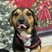 Thumbnail photo of Sabrina #3