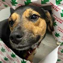 Thumbnail photo of Sabrina #4