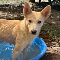 Thumbnail photo of Monkey #3