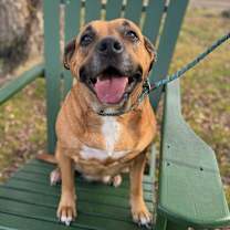 Thumbnail photo of Mollie #1