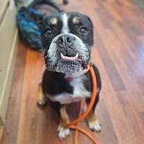 Thumbnail photo of Happy #2