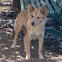 Thumbnail photo of Jessica #4