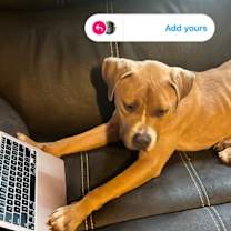 Thumbnail photo of Tito #3