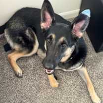 Thumbnail photo of August #3