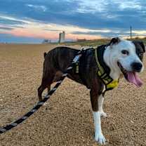 Thumbnail photo of Fiona #1