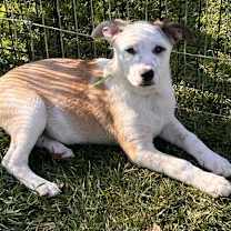 Thumbnail photo of Topher #1