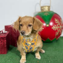 Thumbnail photo of Cutie #3