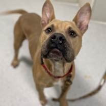 Thumbnail photo of Money #1