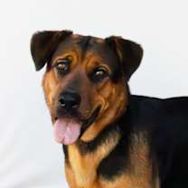 Thumbnail photo of TINA #1