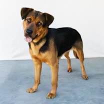 Thumbnail photo of TINA #2