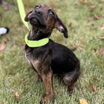 Thumbnail photo of Peter Pan #3