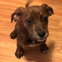 Thumbnail photo of Tink #1