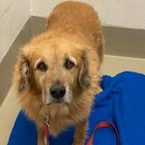 Thumbnail photo of Bo #1