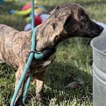 Thumbnail photo of Sylvia #3