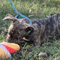 Thumbnail photo of Sylvia #4