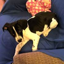 Thumbnail photo of Hook #3