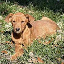 Thumbnail photo of Nessa #2