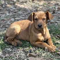 Thumbnail photo of Nessa #3