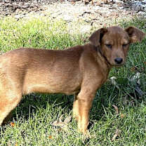 Thumbnail photo of Nessa #4