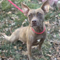 Thumbnail photo of Reba #2