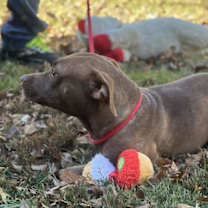 Thumbnail photo of Reba #3