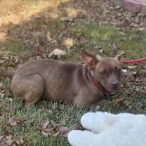 Thumbnail photo of Reba #4