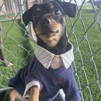 Thumbnail photo of Bear #4