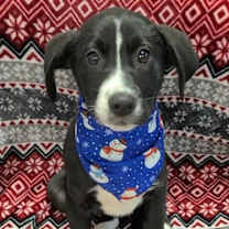 Thumbnail photo of Sister (NY-Emily) #1