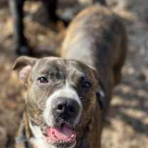 Thumbnail photo of River #2