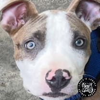 Thumbnail photo of Peter #2