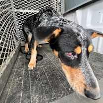 Thumbnail photo of Eric  #2