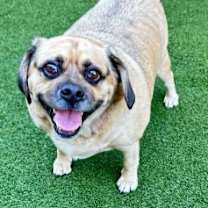 Thumbnail photo of Max #2