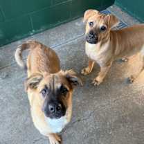 Thumbnail photo of Spark #2