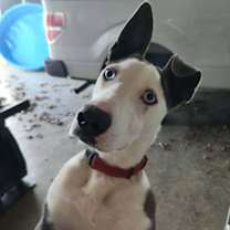 Thumbnail photo of Crunch #1