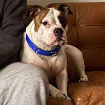 Thumbnail photo of Nyla #1