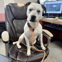 Thumbnail photo of Tom #2