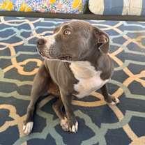 Thumbnail photo of Mara #4