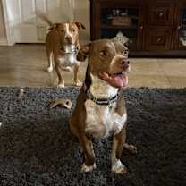 Thumbnail photo of Briggs #2