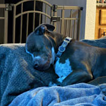 Thumbnail photo of Briggs #3