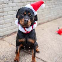 Thumbnail photo of Beverly #1