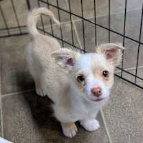 Thumbnail photo of Max #1