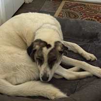 Thumbnail photo of Ella #1