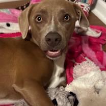 Thumbnail photo of Dalila #2