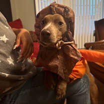 Thumbnail photo of Dalila #3