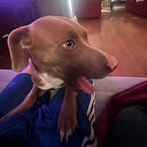 Thumbnail photo of Dalila #4