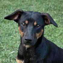 Thumbnail photo of Trudy #1